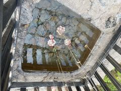 -天芳悦潭度假村温泉