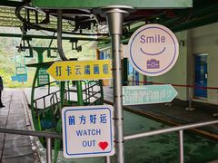 -野象谷景区