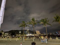 -野狸岛