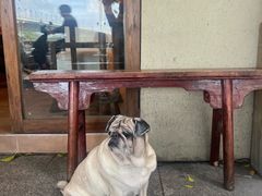 -Silly Dog Coffee(滨江店)