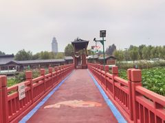 -微山湖红荷湿地景区