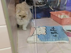 -FAELING PETS美天灵宠物(富力广场店)