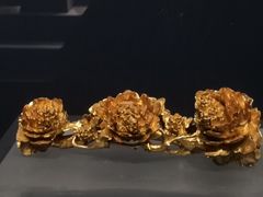 -温州博物馆