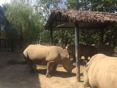 -西安秦岭野生动物园