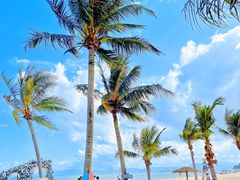 -玫瑰海岸文化旅游度假区