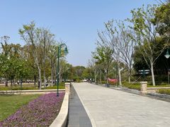 -新江湾城公园