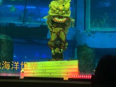 -正佳雨林生态植物园