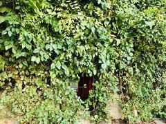 -斯多格书乡(北京大学畅春园店)