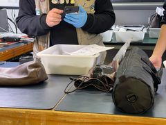 -兰拓相机租赁·维修·二手(上海店)