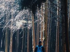 -山王坪喀斯特国家生态公园