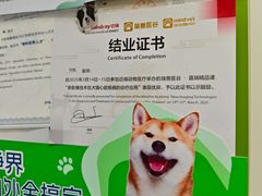 -美联众合动物医院·24h京西诊疗中心