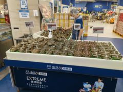 -盒马X会员店(上海森兰商都店)