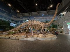 -自贡恐龙博物馆