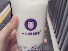 -一只酸奶牛(八一路店)
