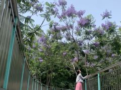 -宜家家居(高新商场店)