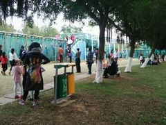 -广东茂名森林公园