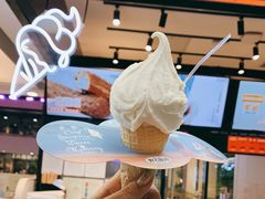 -野人先生现做冰淇淋(西安赛格店)