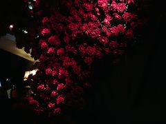 -碧特博格啤酒花园餐厅(芜湖路店)