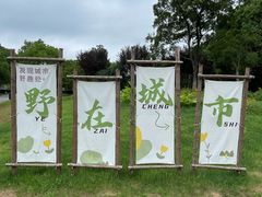 -七桥瓮公园