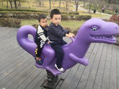 -自然谷恐龙园