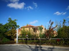 -上海崇明金茂凯悦酒店