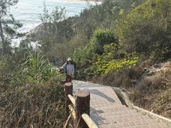 -广东惠东海龟国家级自然保护区