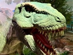 -国家自然博物馆