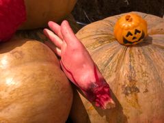 -视界美食自助餐厅·石家庄希尔顿酒店