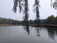 -东郊湿地公园