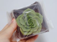 -星巴克(南翔五彩城店)