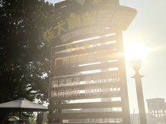 -柴犬高等学院·狗咖·柴犬售卖·宠物训练