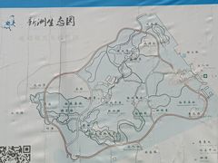 -新洲生态园