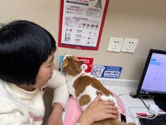 -安安宠医宠物医院·异宠·犬猫内科(岳阳分院)
