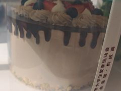 -维尔纳斯·生日蛋糕·动物奶油冰淇淋蛋糕(六里桥店)