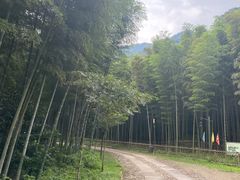 -黄公望隐居地