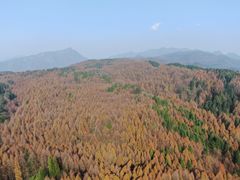 -山王坪喀斯特国家生态公园