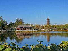-西海子公园