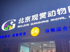 -北京观赏动物医院·24小时大型综合·猫专科·异宠专科