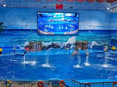 -多彩贵州城极地海洋世界