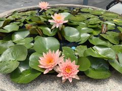 -坂田手造文化街