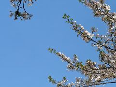 -长田漾湿地公园