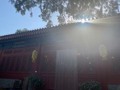 -大觉寺-停车场