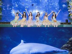 -南昌海洋公园