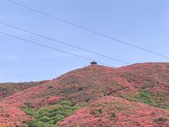 -大围山国家森林公园