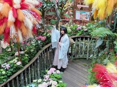 -正佳雨林生态植物园