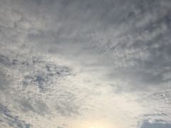 -昆山城市生态森林公园