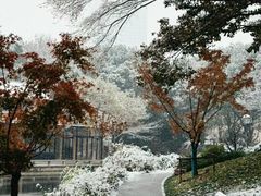 -惠山国家森林公园