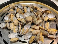 花蛤-蔚海之都·象山蒸汽海鲜(仙霞路店)