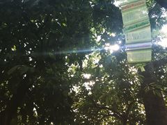 清迈女子监狱按摩馆-清迈女子监狱马杀鸡(无分店)