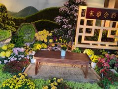 -杭州植物园